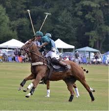 Rose Hill Polo Game