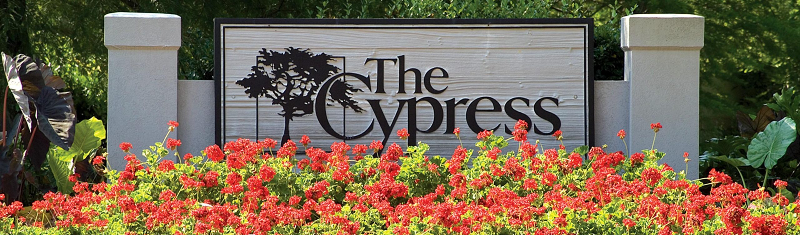 The Cypress/Bay Club