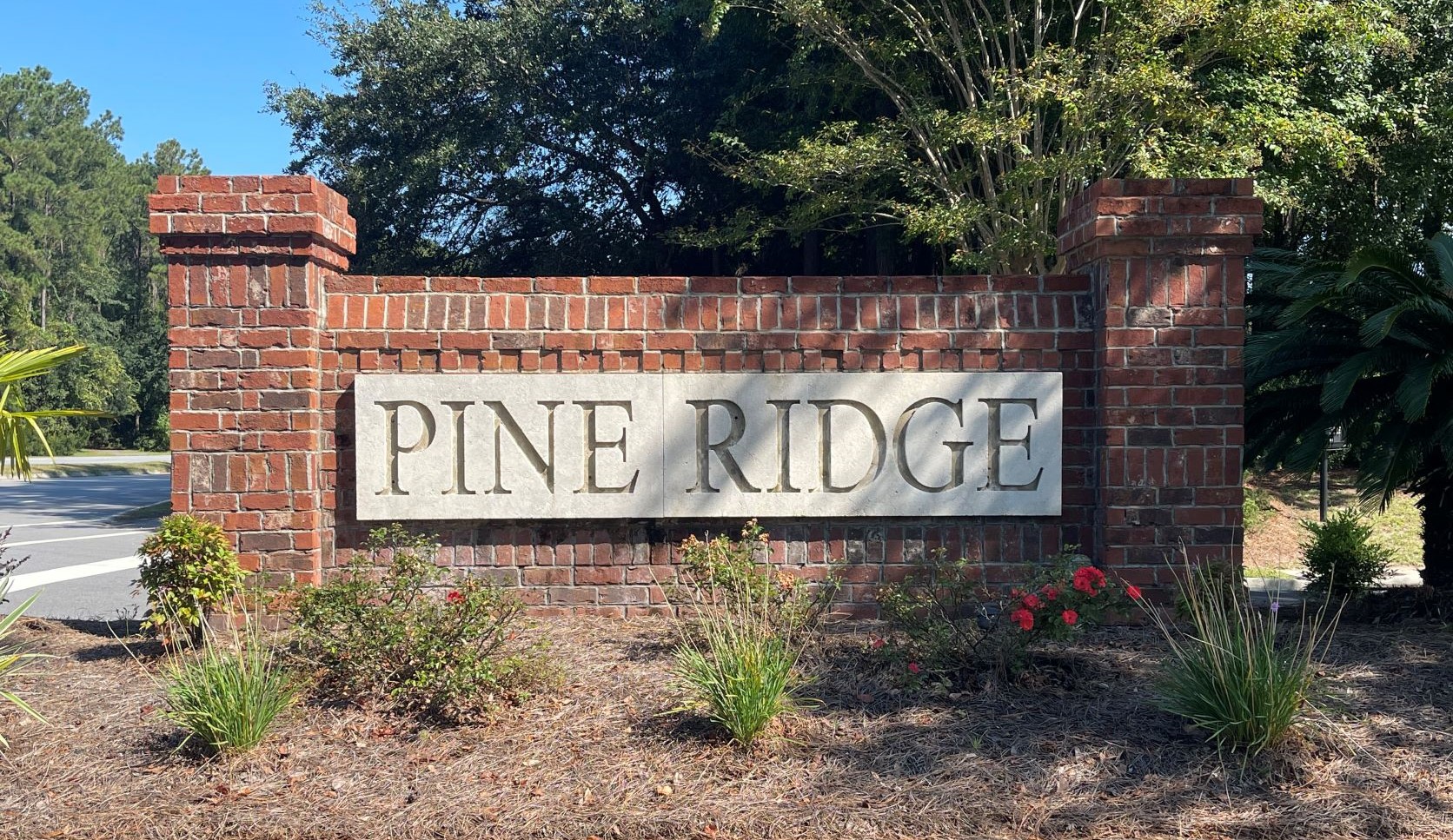 Pine Ridge