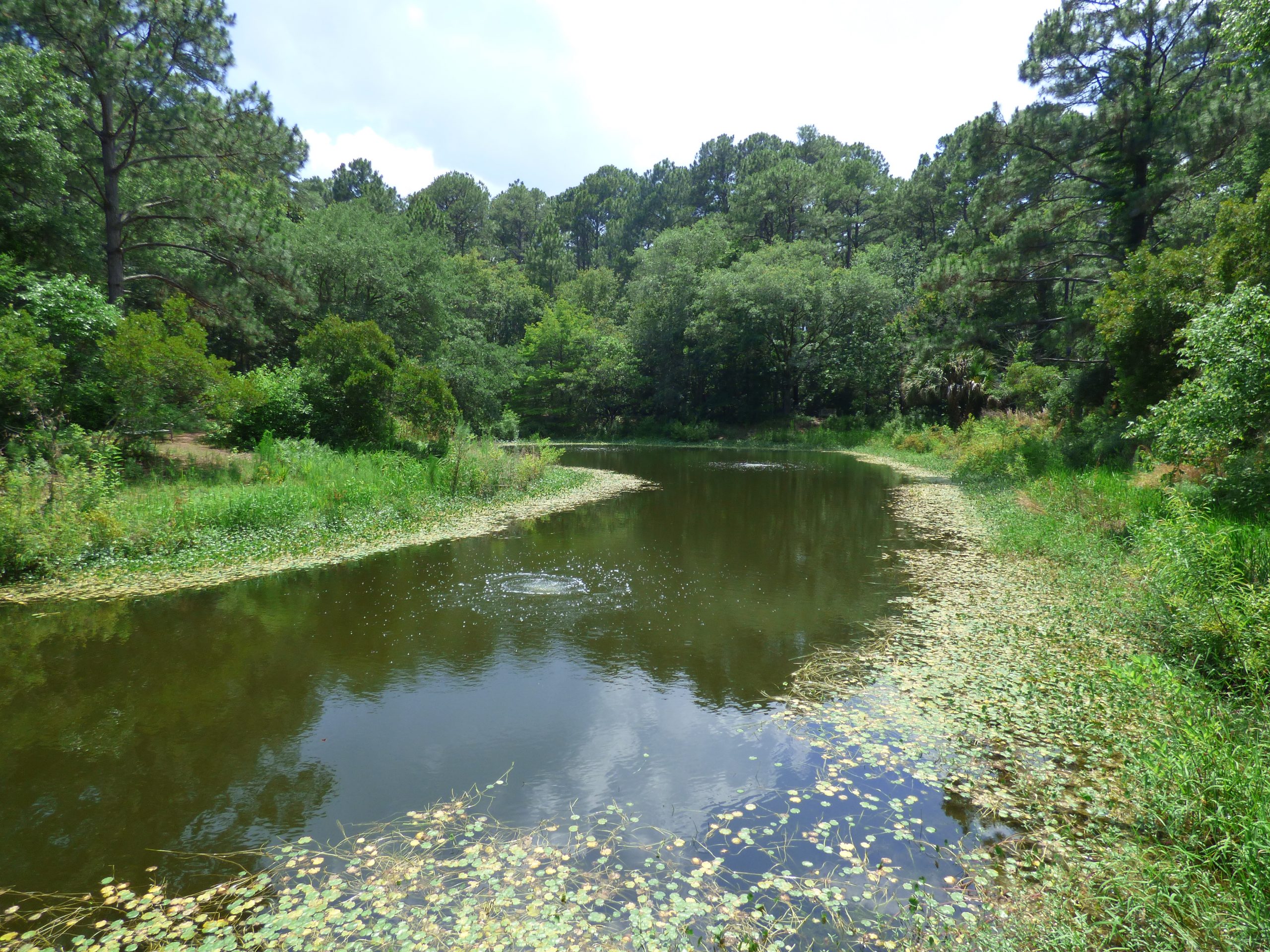 Fall’s Featured Attraction: Audubon Newhall Preserve