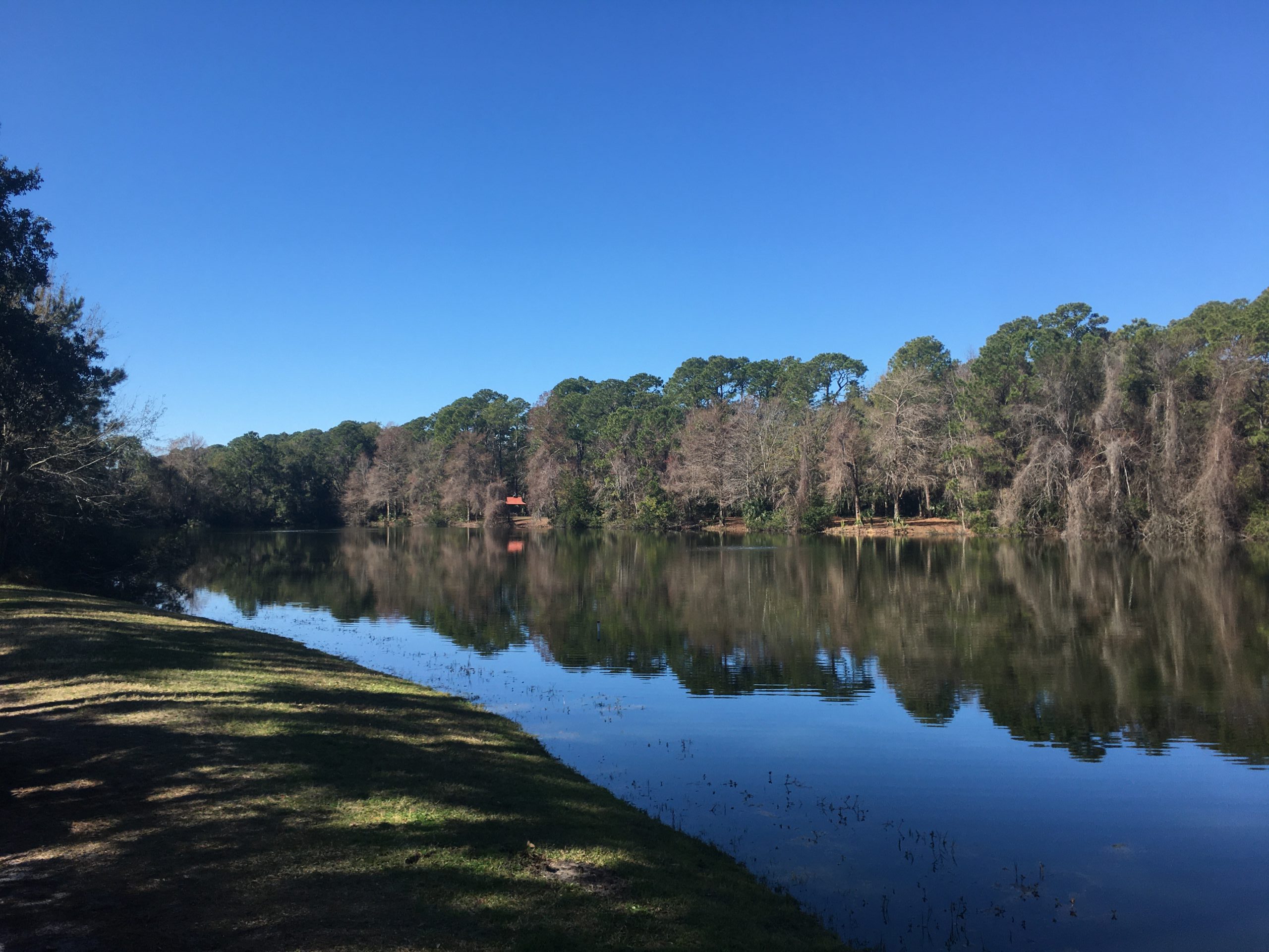 Lake Joe Hilton Head Island Real Estate Brokers